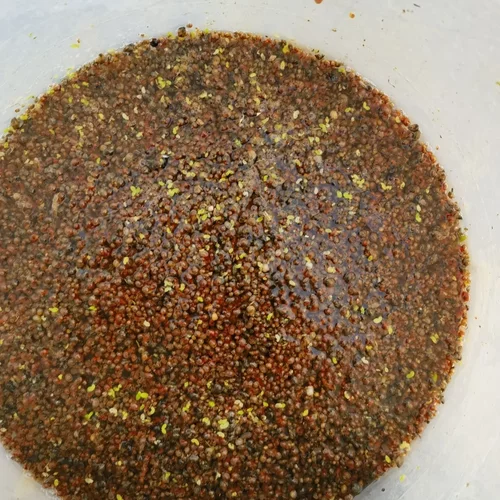 200只便宜全红苹果螺活清洁净化水质鱼缸残食斑马狗头乌龟饲料
