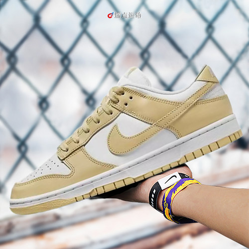 Nike耐克缓震低帮缓震板鞋