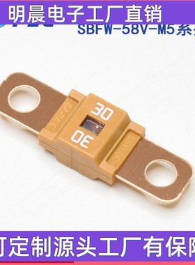 日本汽车保险丝|SBFW-L-331945678101251517 5200A