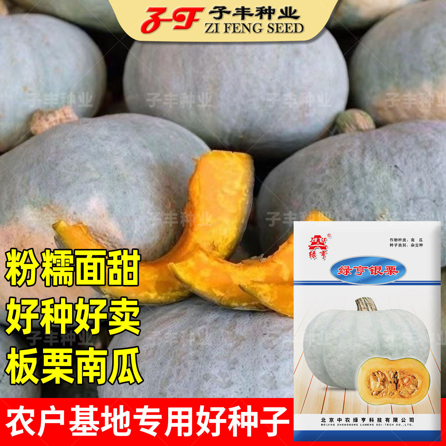 绿亨银栗南瓜种子板栗南瓜粉糯面甜杂交灰白皮贝贝南瓜种籽春秋季