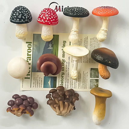 仿真云南菌菇冰箱贴磁吸装饰贴香菇家居装饰品3d立体蘑菇模型磁贴