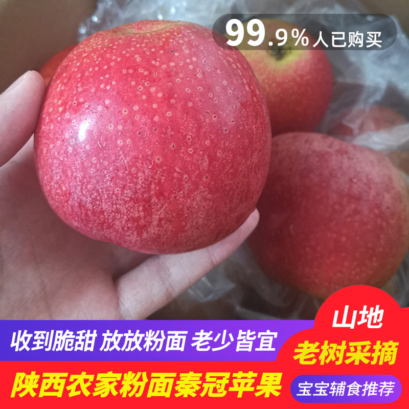 农家现摘陕西秦冠粉面苹果老人宝宝刮泥吃新鲜婴儿辅食水果5斤装