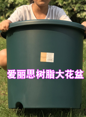 IRIS爱丽思树脂花盆深型大号加厚花盆种树种花大盆控跟透气塑料盆