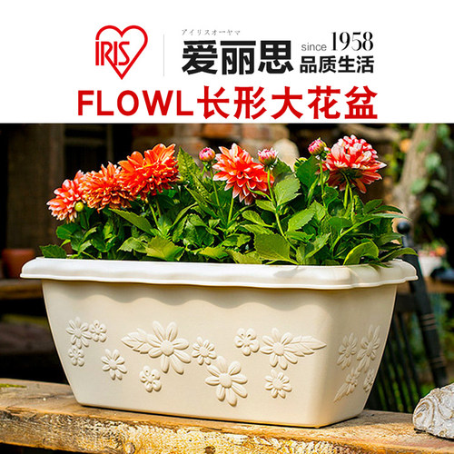 草莓花盆！iris爱丽思树脂加厚盆