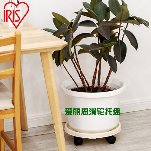IRIS爱丽思滑轮托盘加厚移动托盘底座万向轮爱丽丝盆托圆形底盘