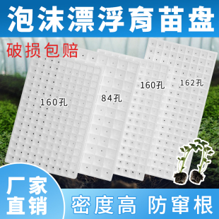 水上种植泡沫漂浮育苗盘萝卜苗芹菜莴笋生菜蔬菜漂浮水上板84160