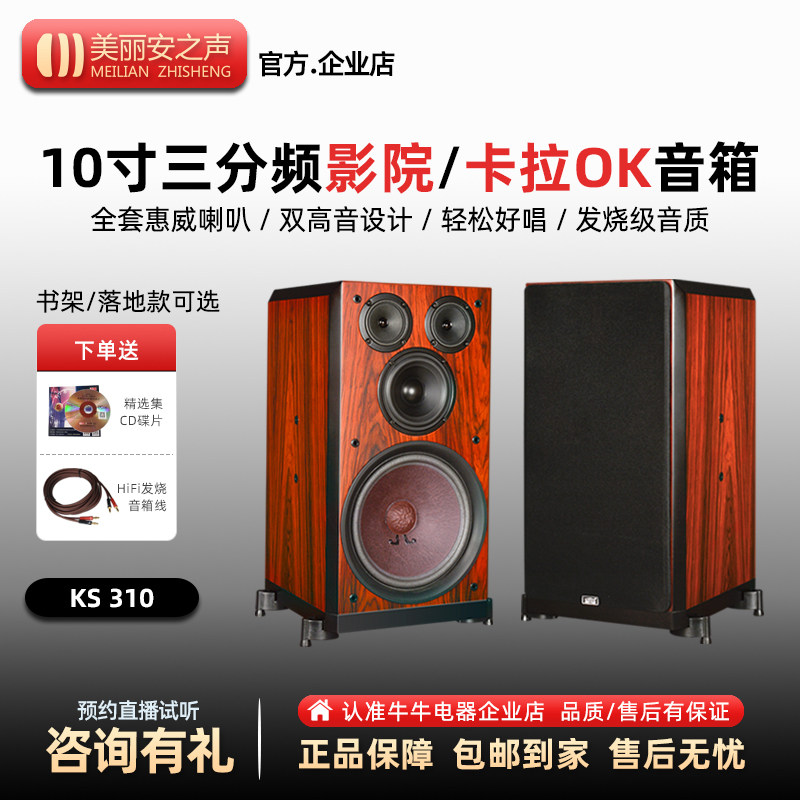 美丽安之声 KS310家用KTV音响卡包卡拉OK书架落地K歌音箱10寸低音