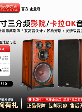 美丽安之声 KS310家用KTV音响卡包卡拉OK书架落地K歌音箱10寸低音