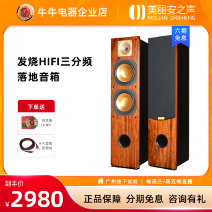 美丽安之声金号角音箱双8寸HiFi发烧级5.1木质家庭影院低音炮套装