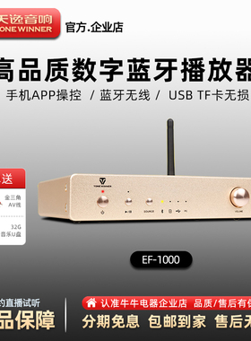 Winner/天逸EF-1000蓝牙播放器桌面DAC耳放u盘无损音乐数字解码器