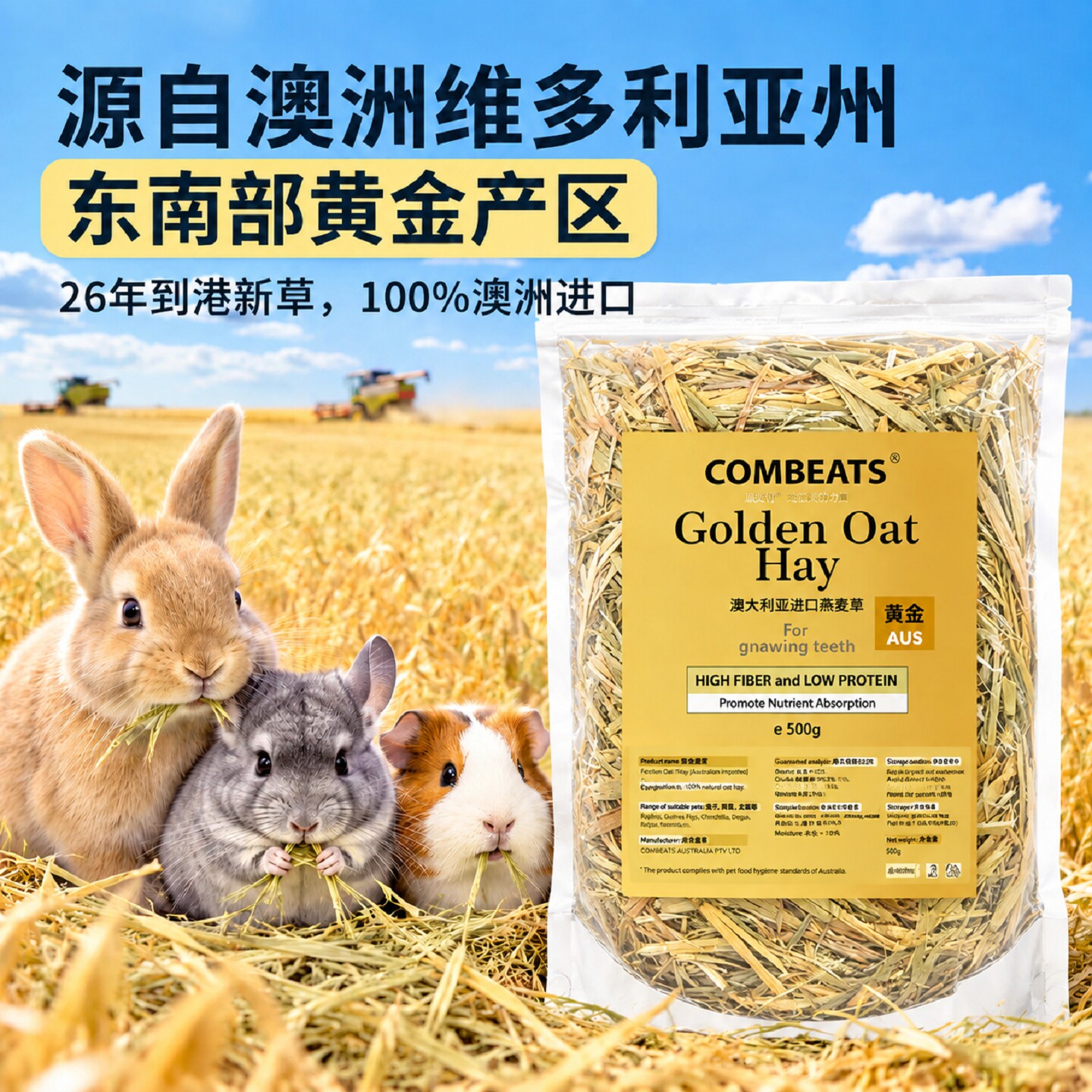 澳洲进口黄金燕麦草兔子食用草