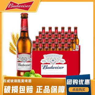 Budweiser/百威瓶装啤酒美式拉格经典醇正330ml*24瓶整箱纯生啤酒