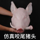 仿真猪头模型生肉道具食物摆件展厅橱窗祭祀供品猪头生猪头样品