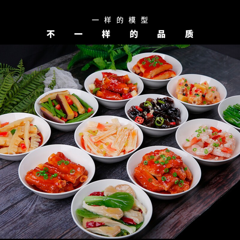 仿真菜品模型小碗菜假菜样品拍摄影视道具食玩饭菜假食物食品菜模