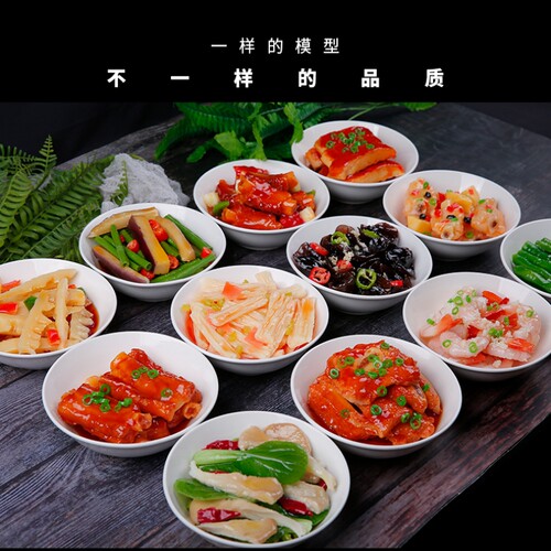 长期保存仿真食品模型小碗菜