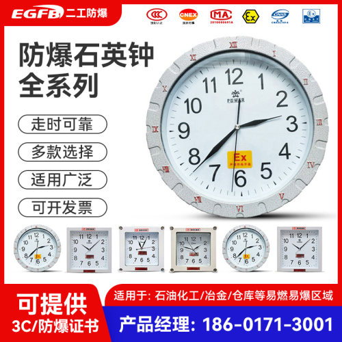 厂家直销防爆石英钟  挂钟 危险化工专用随货带证书