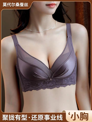 性感女士内衣无钢圈小胸聚拢