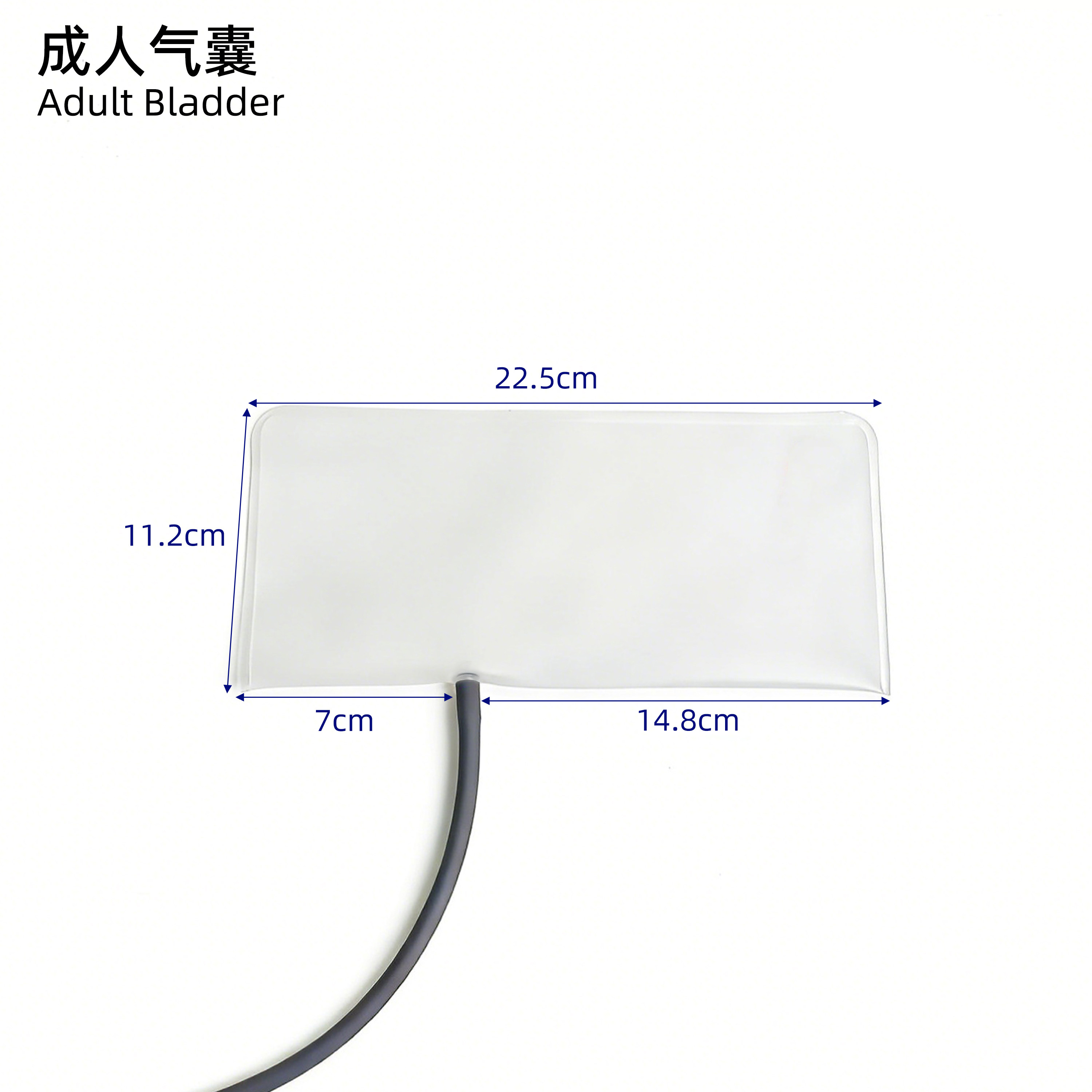 TPU血压袖带气囊经久耐用单管管长30CM监护仪血压袖套配件,个人护理/保健/按摩器材,其它家用保健器材配件,淘宝优惠券,粉丝福利购,淘宝优惠卷