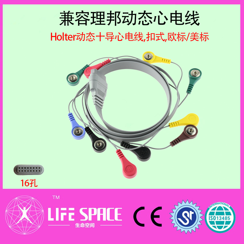 兼容理邦动态导联线十导扣式hoter动态心电导联线