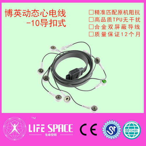 兼容博英动态导联线 扁口十导动hoter态心电导联线