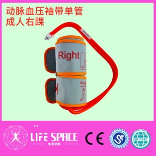 兼容 科林 BP-203RPE动脉血压检测袖带 成人右腿硬化袖带