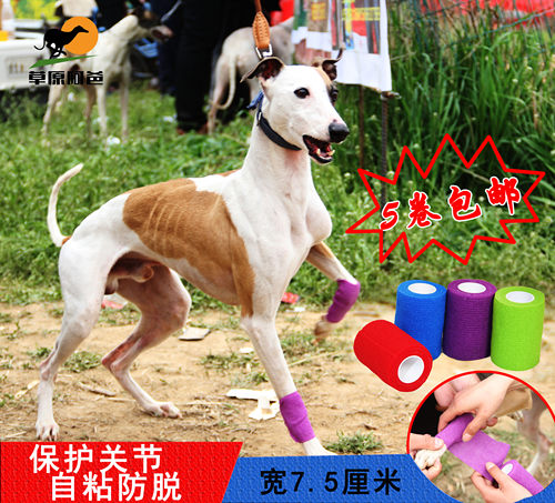 自粘固定绷带运动犬赛犬格力灵缇护腿防扭伤保护关节防骨折胶布
