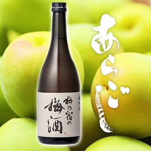 梅乃宿青梅酒 3年熟成梅酒日本梅子酒 女士 低度酒微醺果酒720ml
