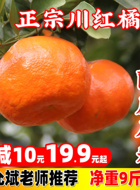 重庆万州古红桔正宗四川红橘小柑新鲜陈皮水果大红袍孕妇小柑子