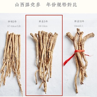 顺丰 振晋堂 野生潞党参 5年野生原条真空 高性价比  250g/袋