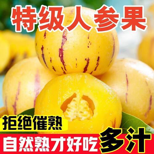 云南石林人叁果整箱包邮
