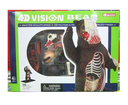 4D北极熊棕熊包邮MASTER益智仿真动物器官解剖拼装医学教学玩具