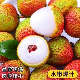 湛江妃子笑荔枝新鲜应季 廉江产地直供 老树大果清甜爆汁冷链到家