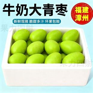 正宗牛奶青枣新鲜水果果园现摘清甜脆爽多汁当季鲜果好吃不腻