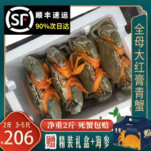 [三门野 生鲜活青蟹特大全母红膏蟹海鲜膏蟹螃蟹红鲟黄油野生肉蟹]