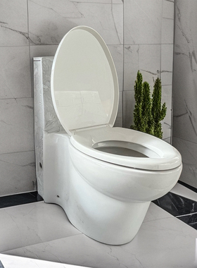 科勒夏宫系列连体座便器K-14338T-SMC双冲旋风冲水系统马桶3/6L