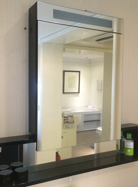 科勒镜柜K-99933T-L/R-NA星都镜柜 500mm左/右开门储物柜