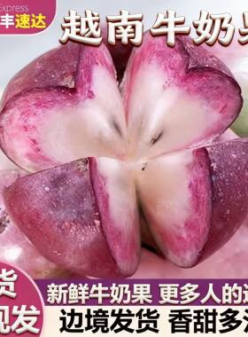 顺丰1斤树上熟牛奶果越南引进热带高档水果新鲜特奇怪稀有星苹果
