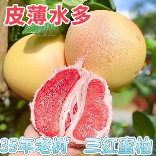 福建漳州三红蜜柚红心当季现摘