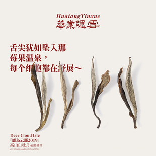 华棠隐雪『鹿岛云耶·2019一级白牡丹』福鼎磻溪老白茶