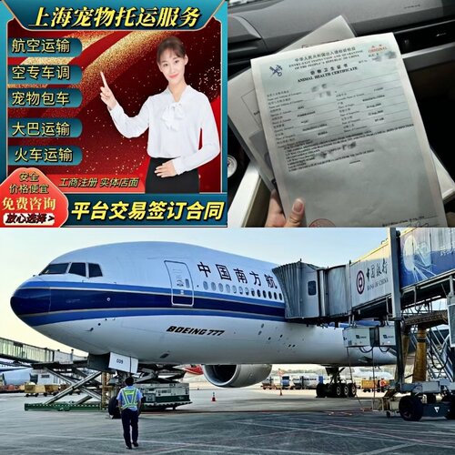 宠物托运代办手续上门接送
