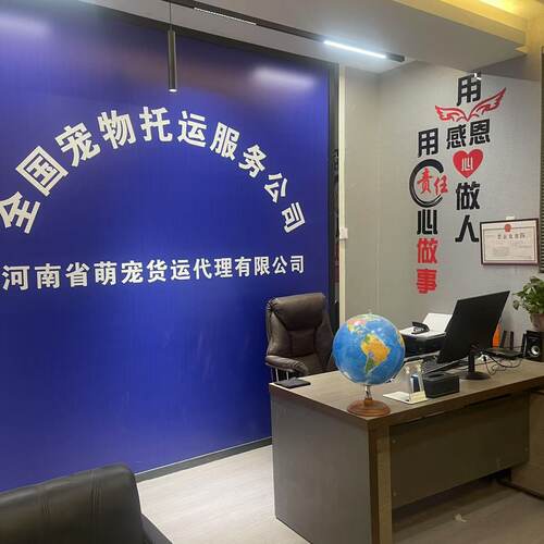 宠物运输国内国际专业代办手续