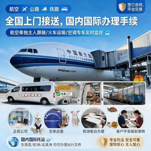 宠物托运国内国际上门接送