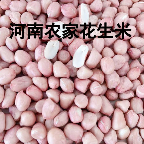 河南农家新鲜花生米剥壳生花生煮粥榨油生吃生花生花生仁干花生米