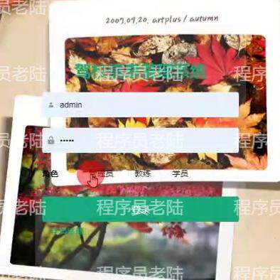 驾校信息管理系统｜java｜springboot｜vue｜mysql｜万字文档
