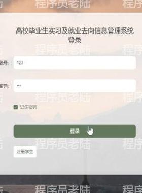 毕业生就业管理系统｜java｜springboot｜vue｜mysql｜万字文档