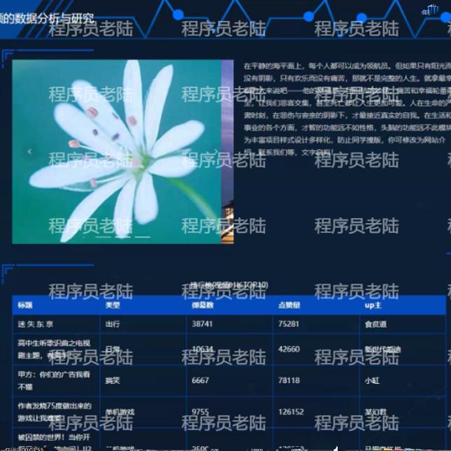 热门视频可视化系统|python|flask|vue|mysql|万字文档