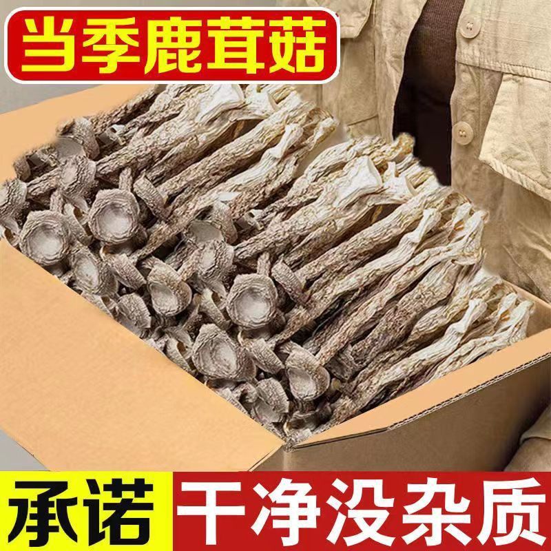鹿茸菇干货鹿茸菌脆脆菇云南特产煲汤食材蘑菇干香姑