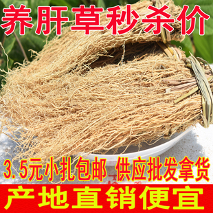 广东韶关特产养肝草龙须草护肝丝线根新鲜特级干货煲汤料农家自晒