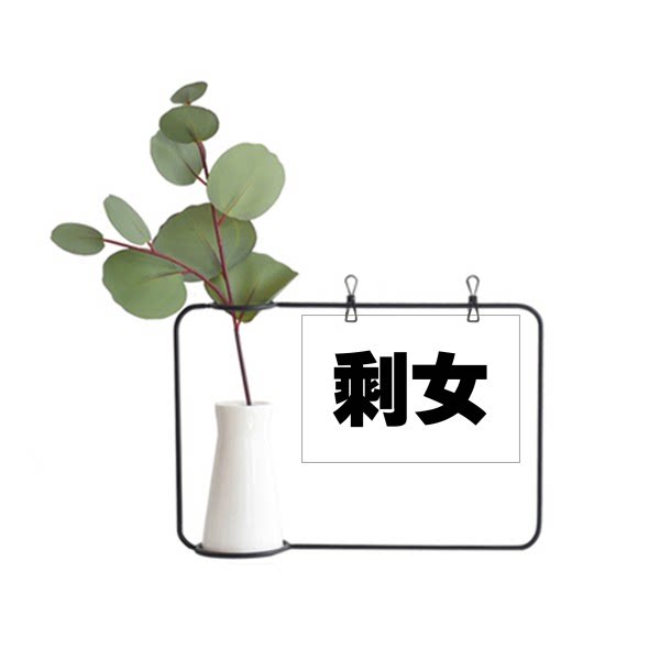 标语剩女金属相框陶瓷花瓶装饰