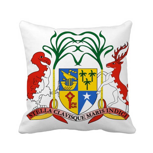 毛里求斯共和国非洲国徽方形抱枕靠枕沙发靠垫双面含芯礼物